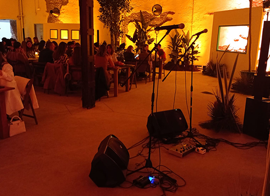 SONIDO SONIDO